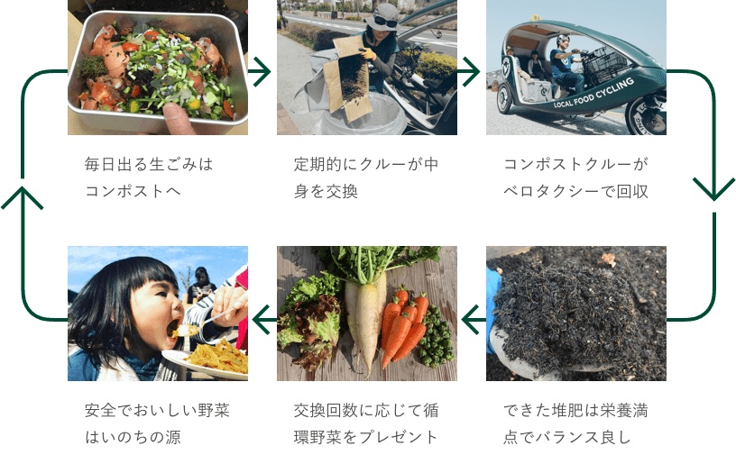 栄養サイクルの図解